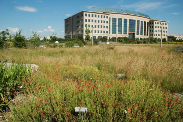 Aurora Xeriscape Demonstration Garden