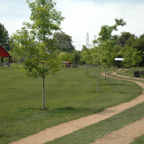 County Lane Park