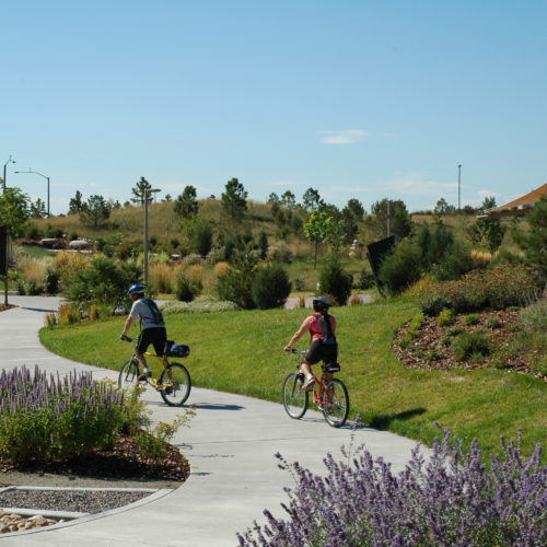 Aurora Xeriscape Demonstration Garden - Path