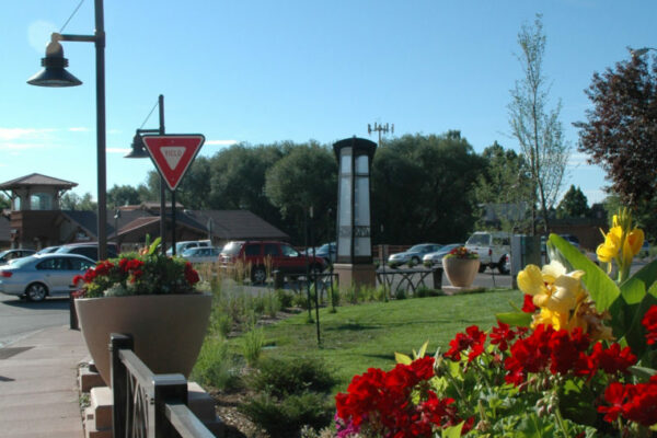 College Ave. & Harmony Road Planters