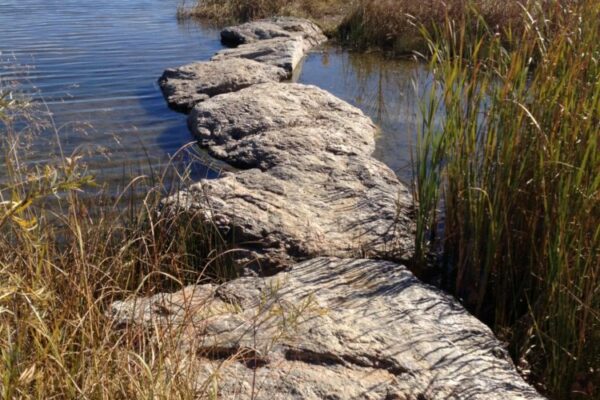 Fossil Creek Park - Stepping Stone Bridge