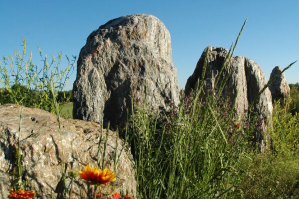 Spring Canyon Park - Boulders and Wildflowers