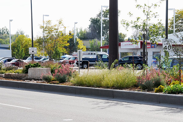 North College Streetscape Medians