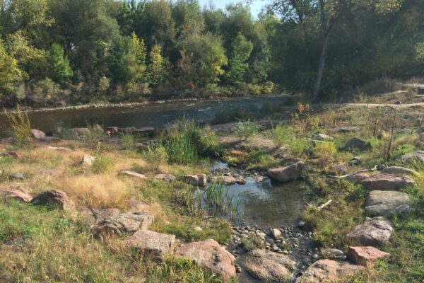 West Vine Outfall - Habitat