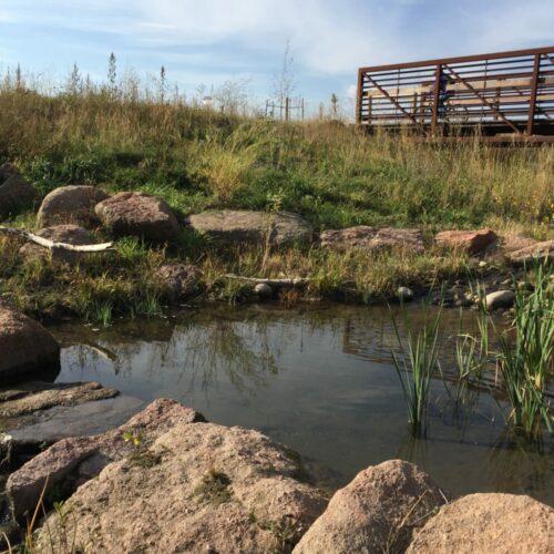 West Vine Outfall Habitat Establishment