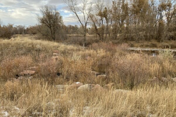 West Vine Outfall - Poudre River